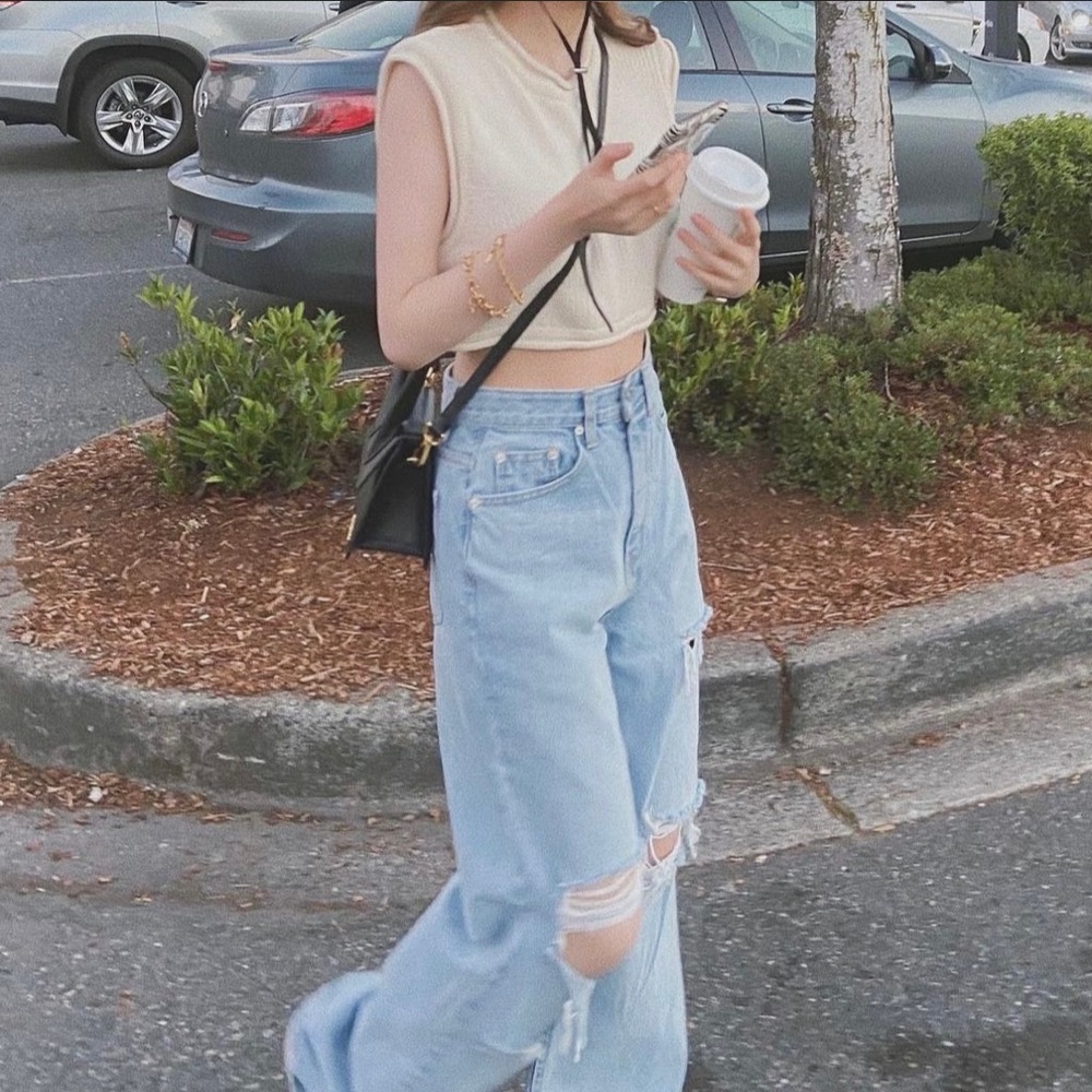 Zara Knit Beige Crop